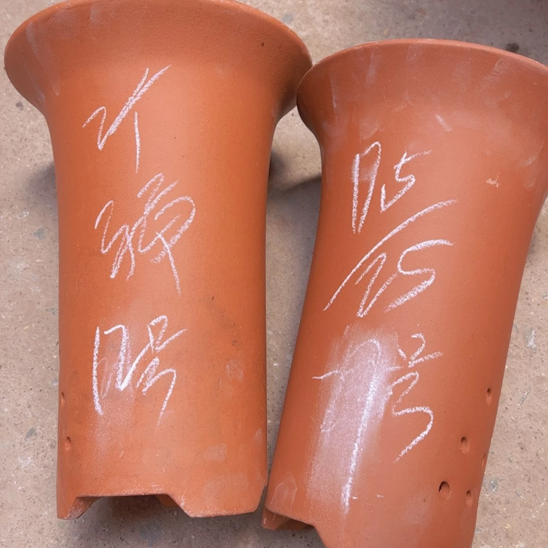 12…………………………………………………………