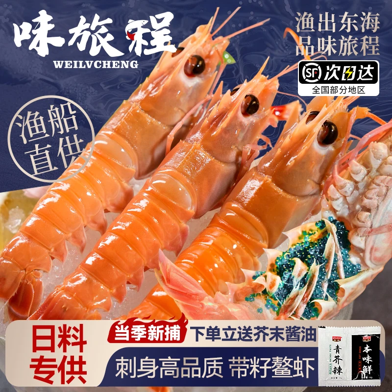 舟山海鳌虾新鲜鳌虾刺身甜虾大鳌虾鲜活海鲜国产东海鳌虾日料级