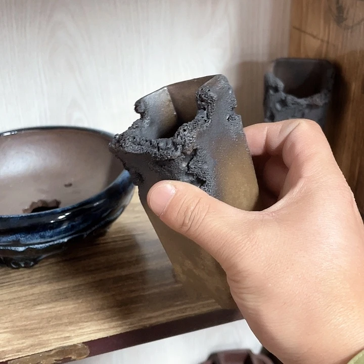 紫砂花盆这个世界上没有什么