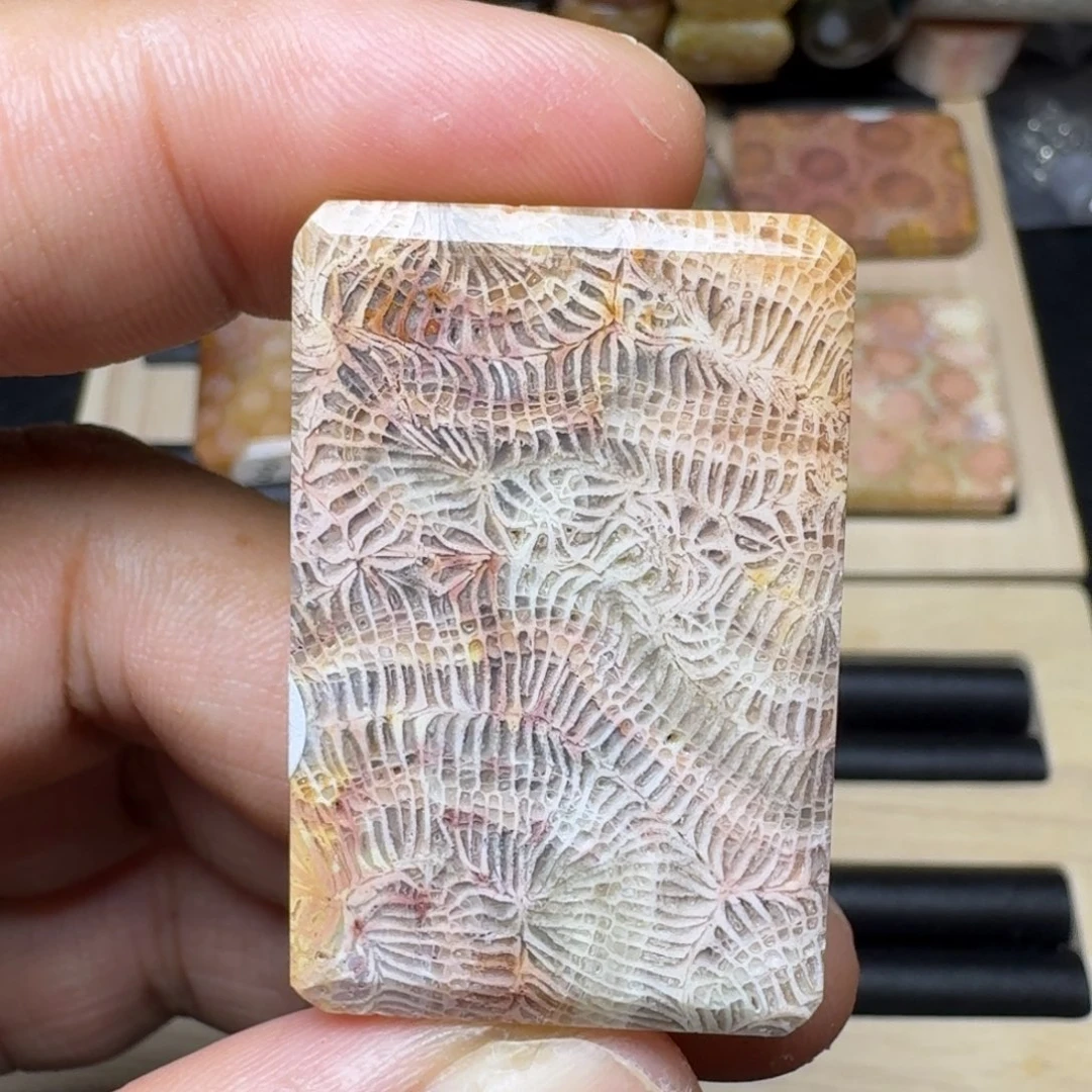 硅化玉未镶嵌纯天然色有机玉石保真色
