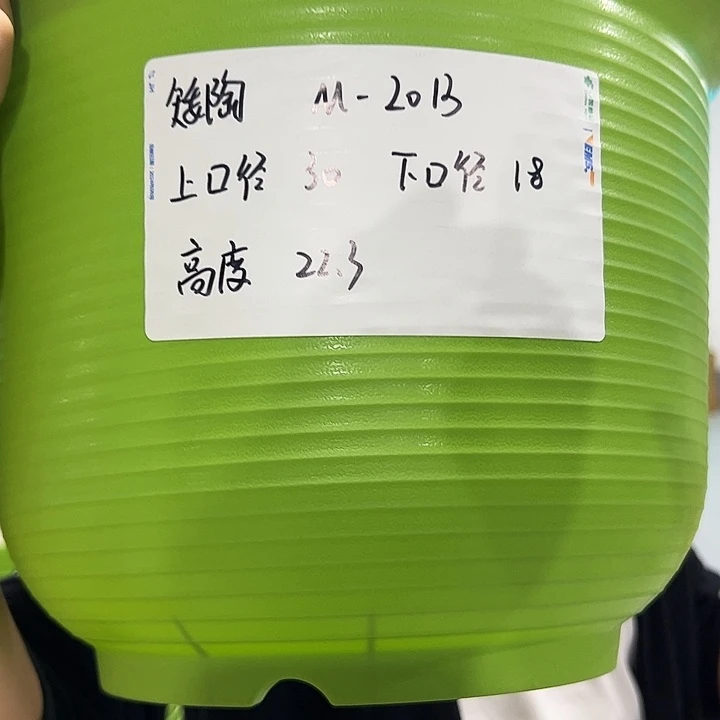 正品矮陶口30高21果绿5只无托
