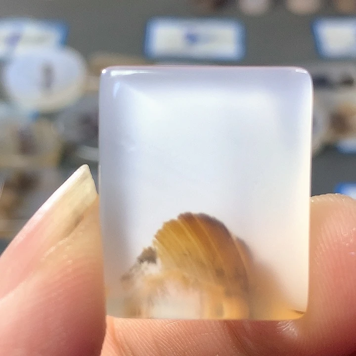 未镶嵌颈饰玛瑙/玉髓