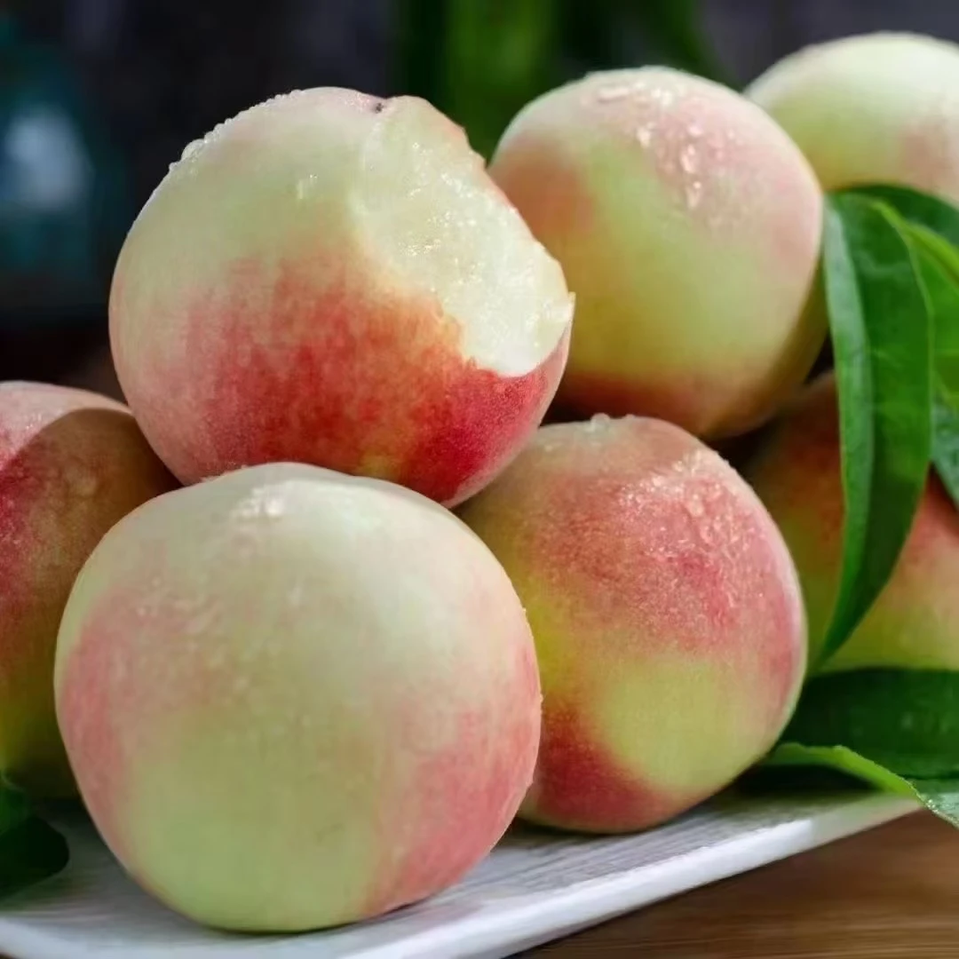 古田白凤水蜜桃5-10斤礼盒装