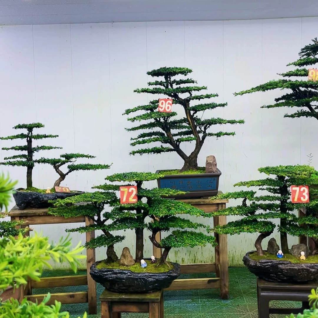 【闪购商品】无花朵蓝****2