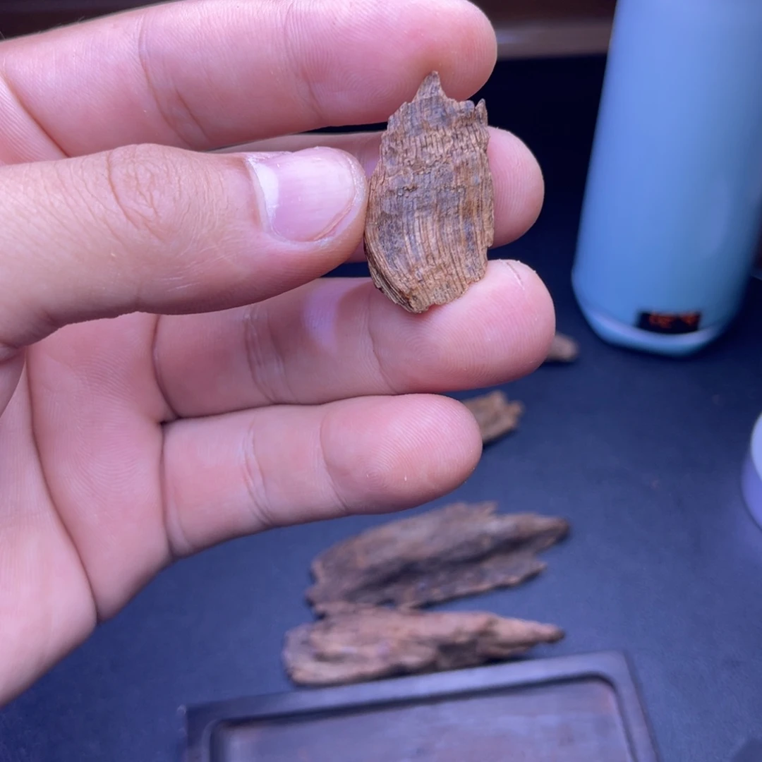 香榧木海南大山沉水熟结老包头1.2克
