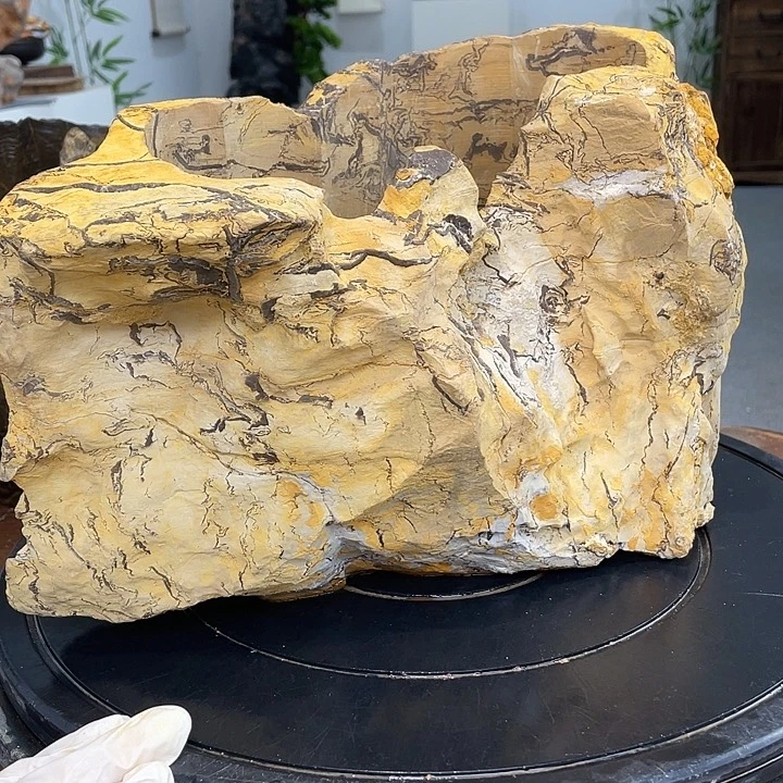 生***共85258852558885555