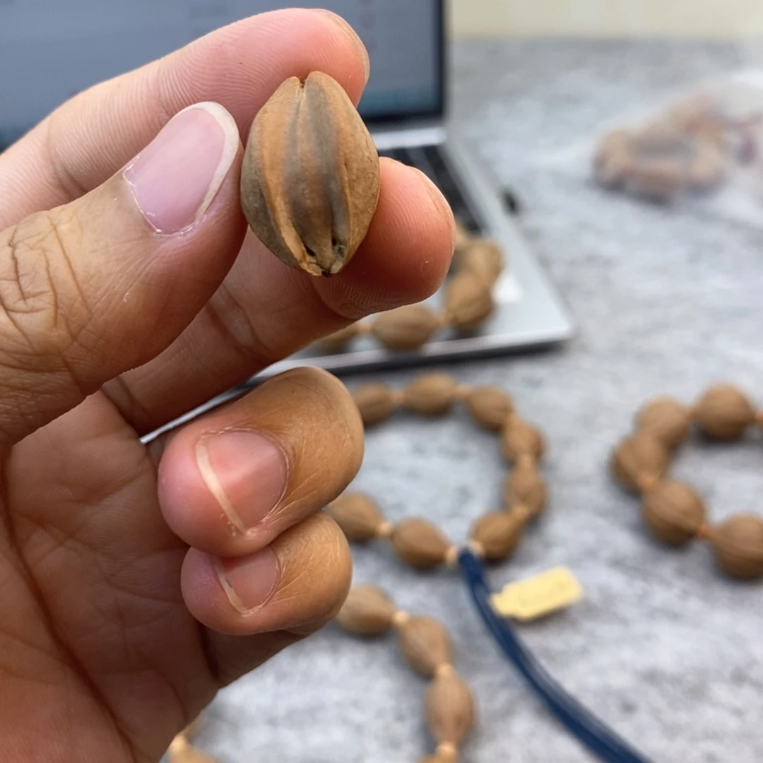 橄榄核手串/手链奔***奔梅林铁核一物一图