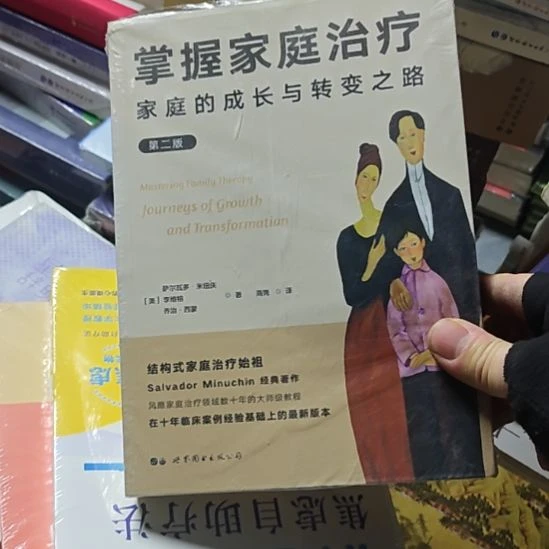 掌握家庭治疗，家庭的成长与转变之路，作者是萨尔瓦多米纽庆。