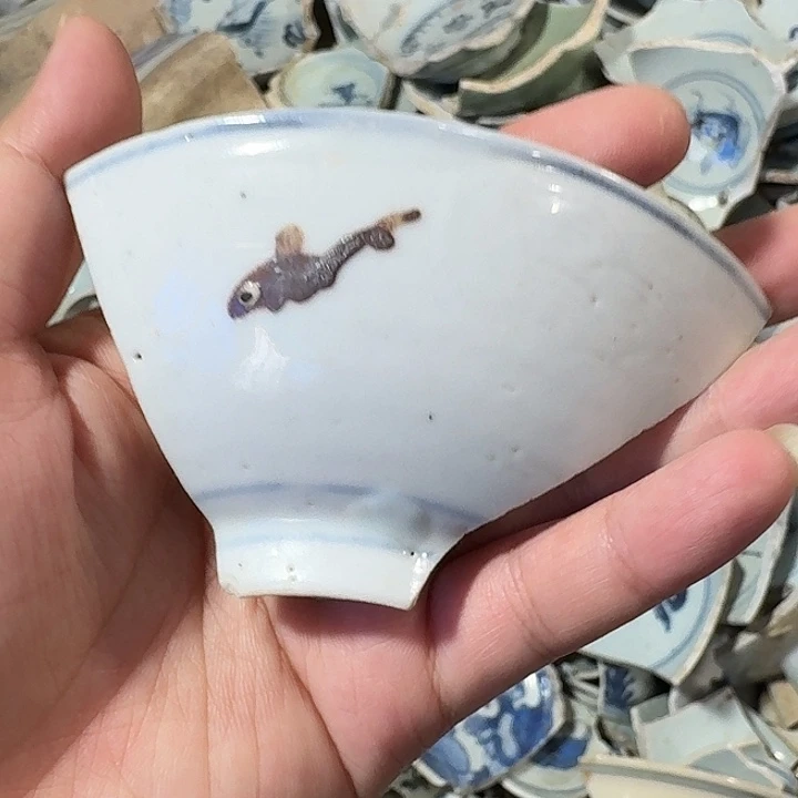 瓷片瓷片标本，顺丰包邮