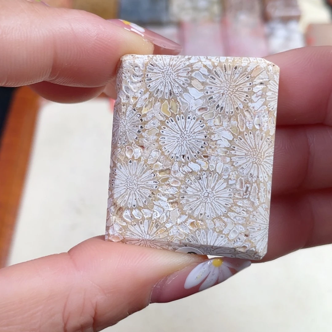 【闪购商品】硅化玉吊坠(赠链)未镶嵌工***?