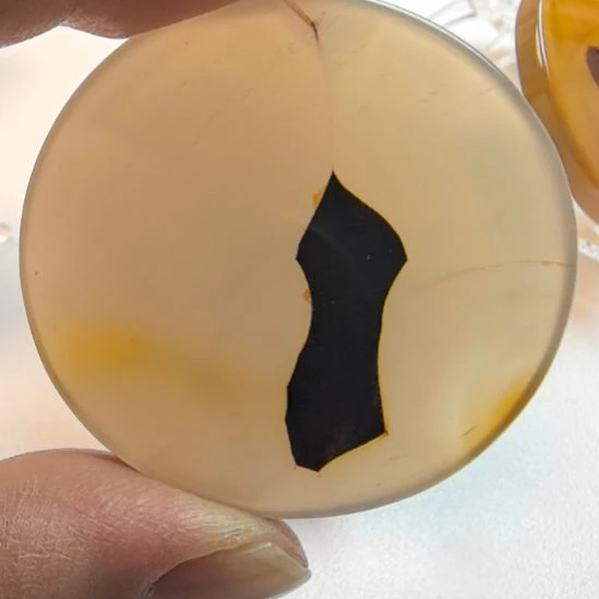 非金属时尚配饰可观赏配带