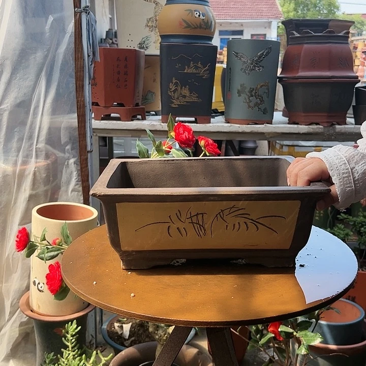 31黄马槽花盆花盆花盆