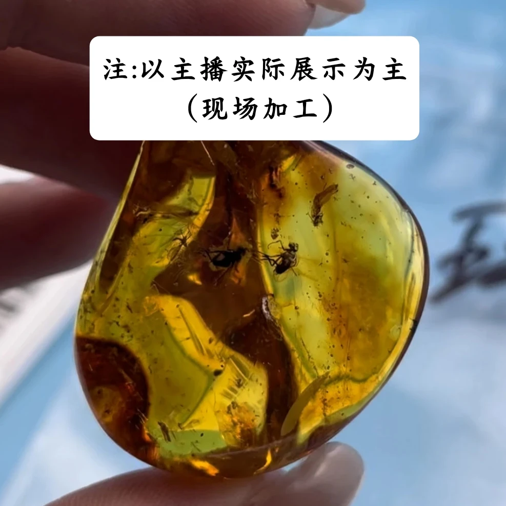 【虫珀料10-20克】天然俄料琥珀（送打孔绳子穿好绳做成品）