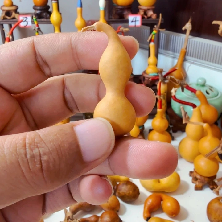 癸**来这个时候应该可以