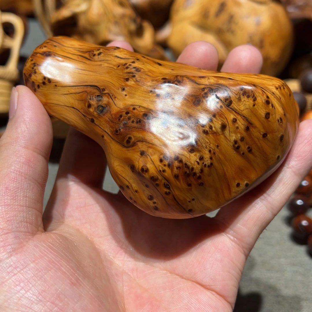 柏木（崖柏）北太行陈化崖柏