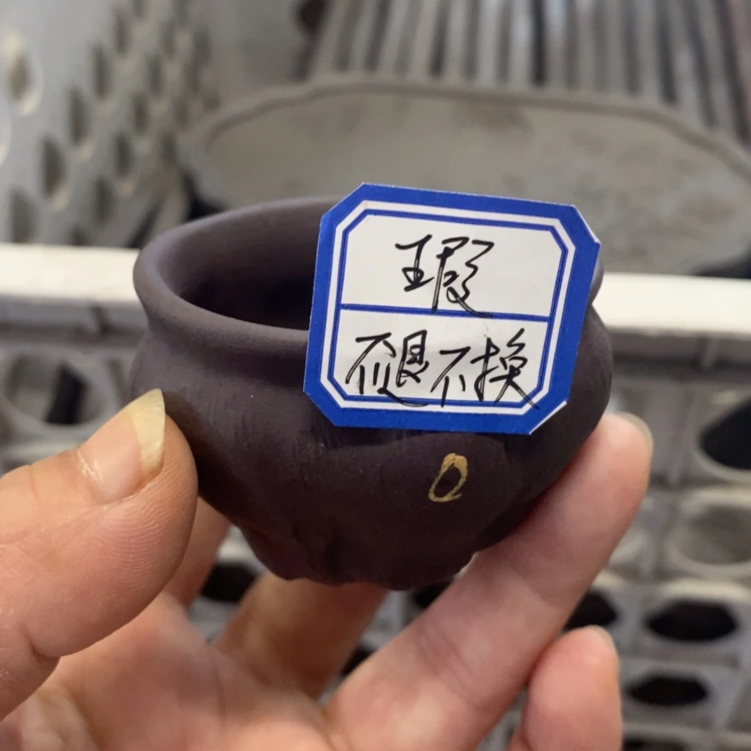 茶杯紫砂紫砂紫砂