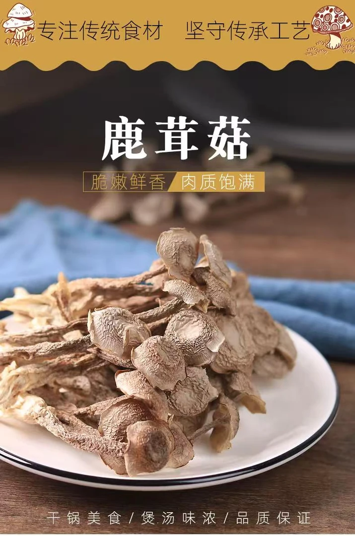 鹿茸菇新鲜干货甄选鹿茸菇干货农家特产新鲜可用于煲汤干锅食材