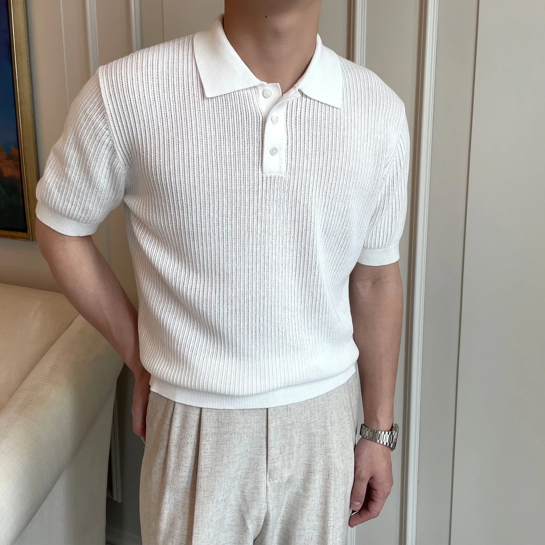 DeweLvum轻奢时尚纯棉POLO衫男士翻领透气针织百搭修身短袖男T恤