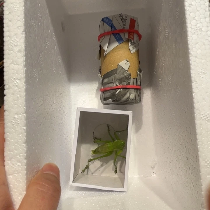 淳***业那时候我们在学校