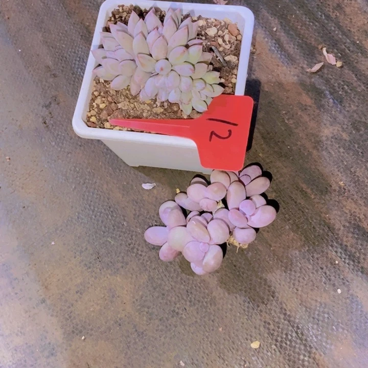 这么久你还是这样不