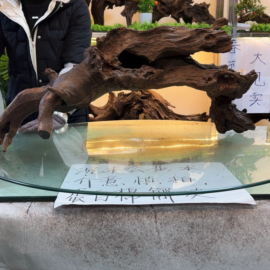 柚木沉木鱼缸造景