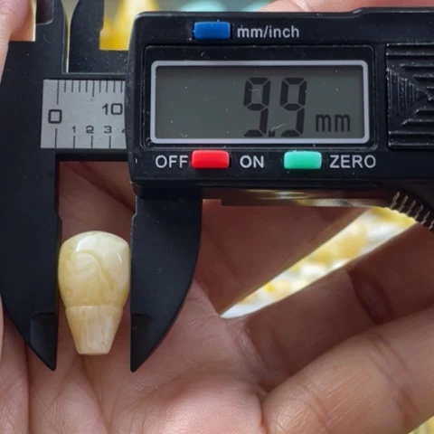 【闪购商品】未镶嵌蜜蜡裸石?*钰29号