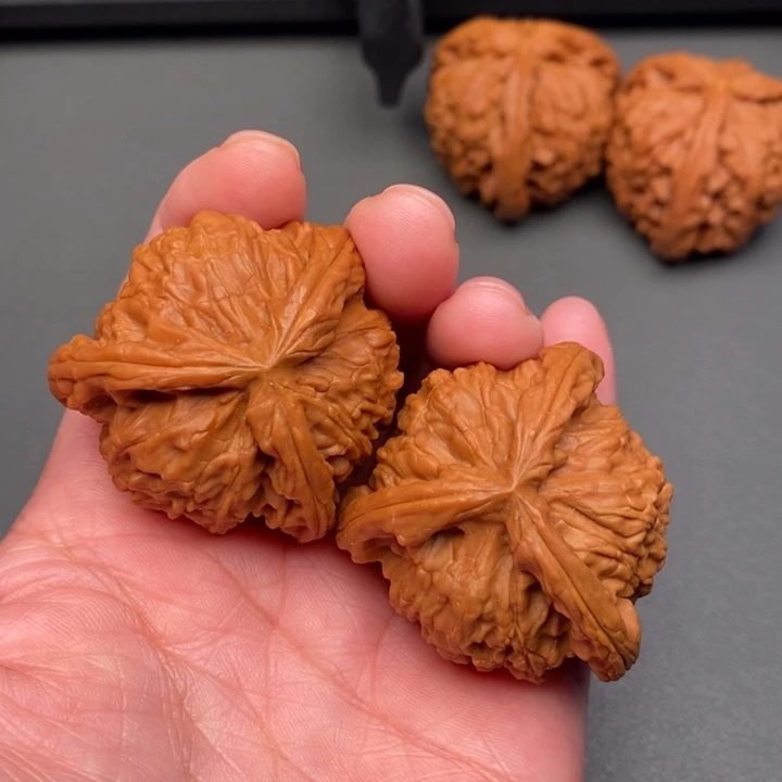 真***跳木质类核桃核桃荷兰