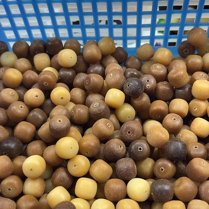 依***意菩提根/象牙果吊坠