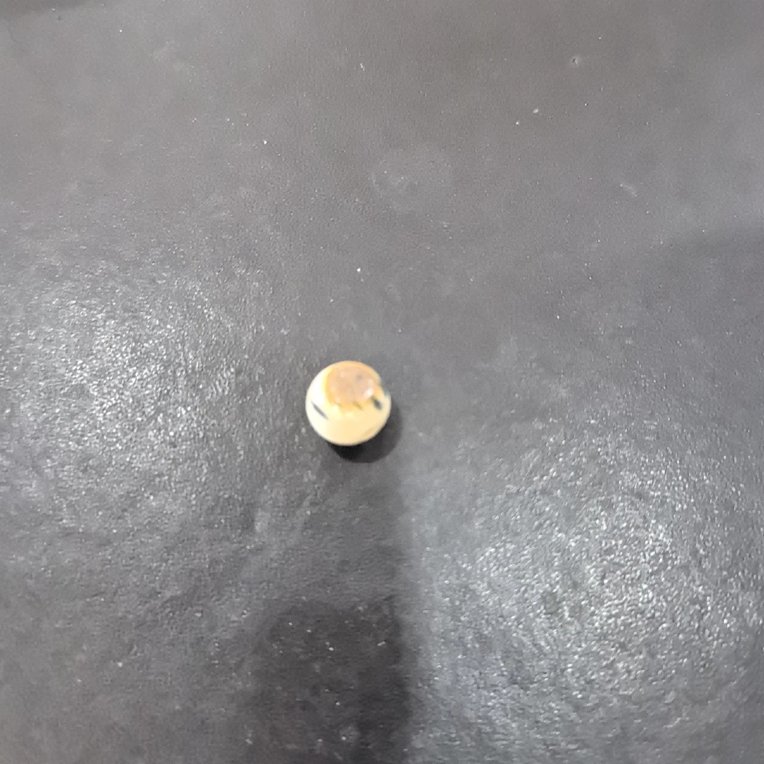 猛犸尺寸1.0蓝眼睛单珠CY2