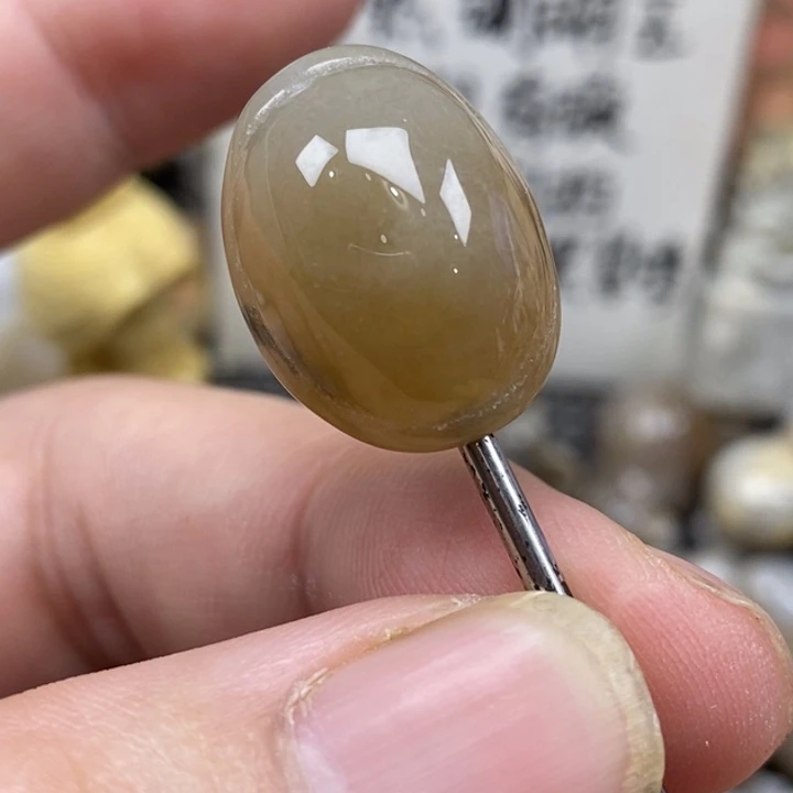 硅化珊瑚（珊瑚玉）未镶嵌颈饰