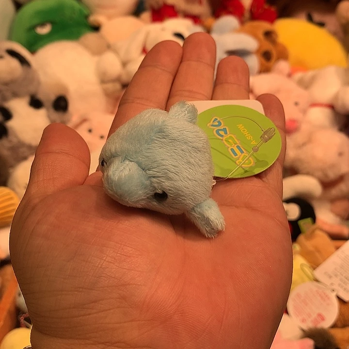 毛绒豆袋海豚哈哈哈哈
