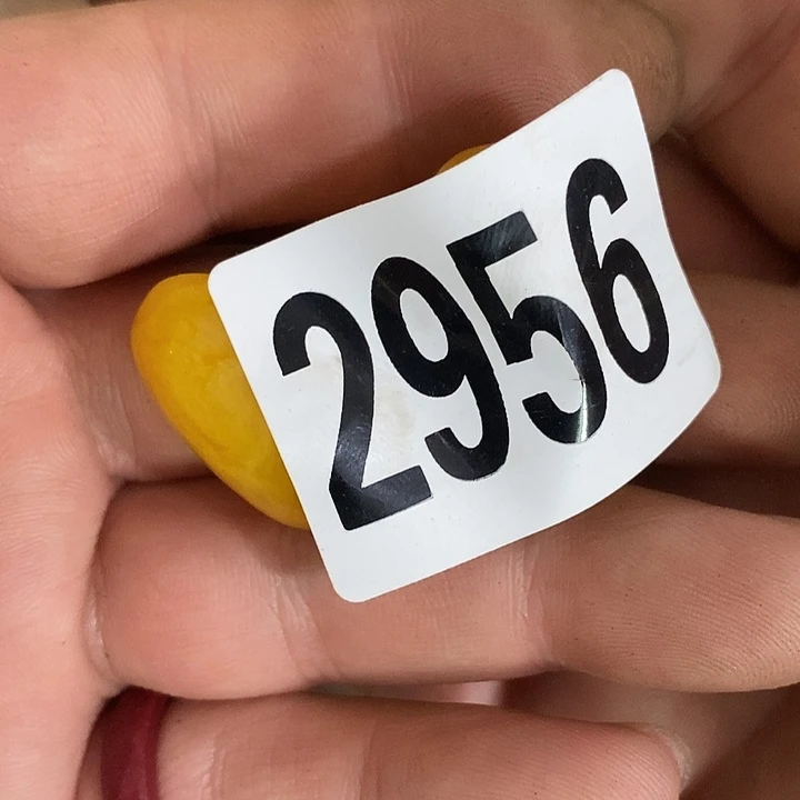 昙**现普光县志等地的历史2956