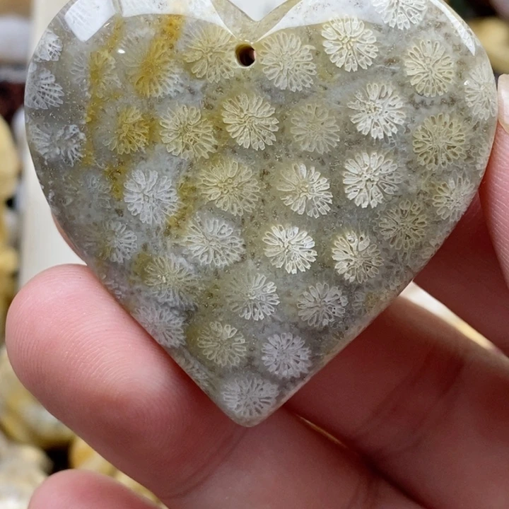 颈饰未镶嵌硅化珊瑚（珊瑚玉）