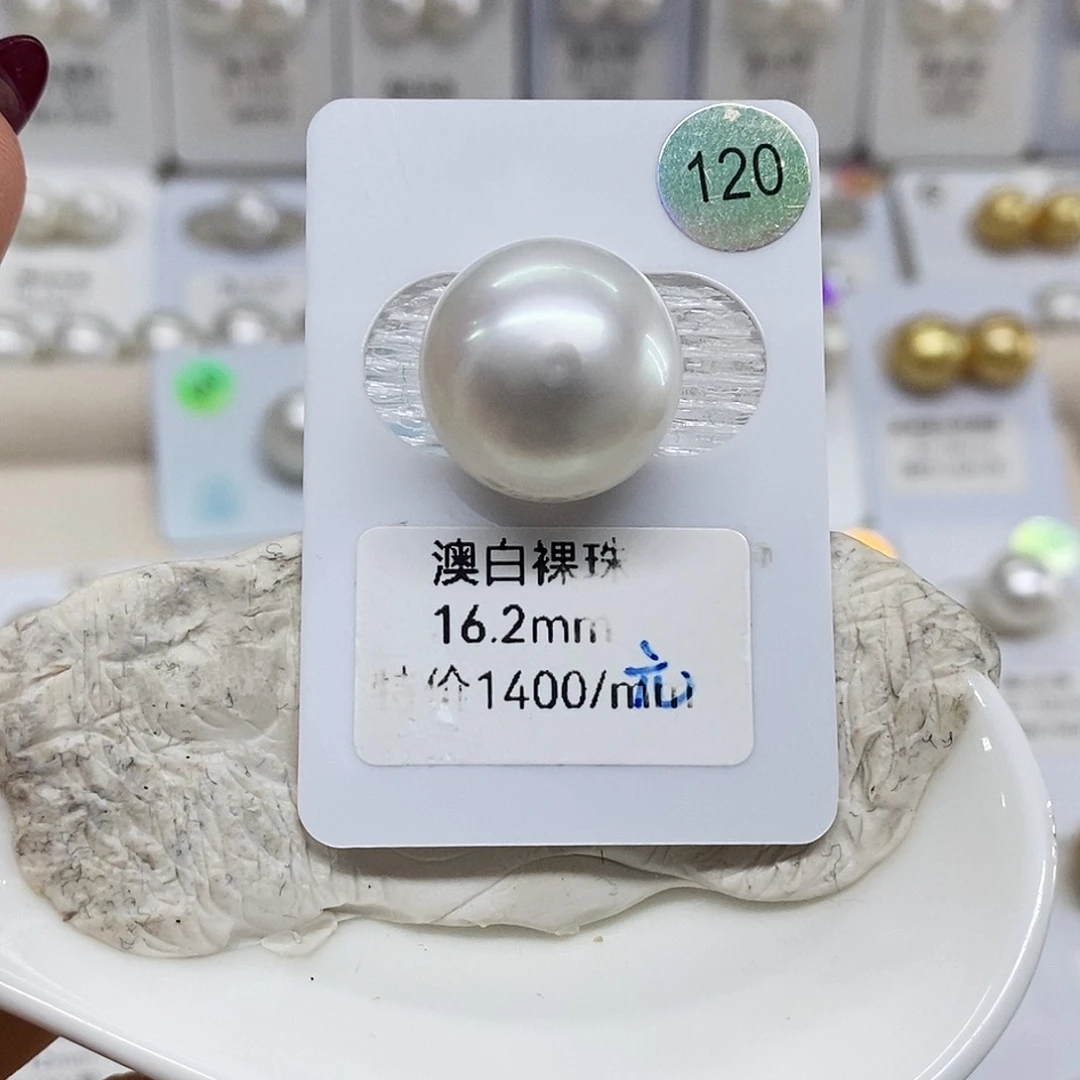 未镶嵌澳白16.2馒头海水珍珠