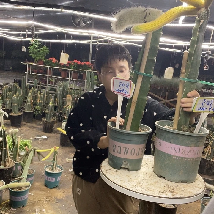 8303脱土发货哟无售后