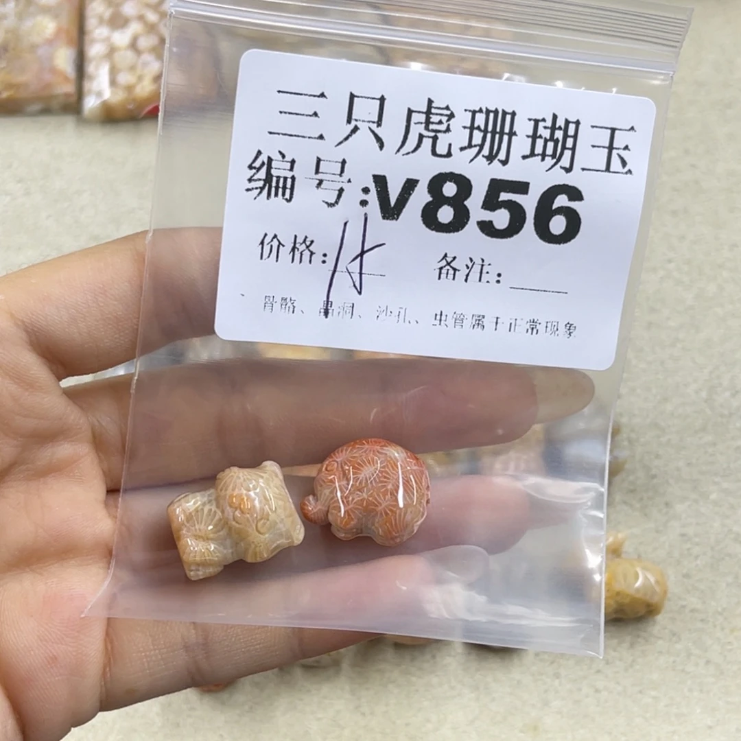 私***君硅化珊瑚（珊瑚玉）未镶嵌h