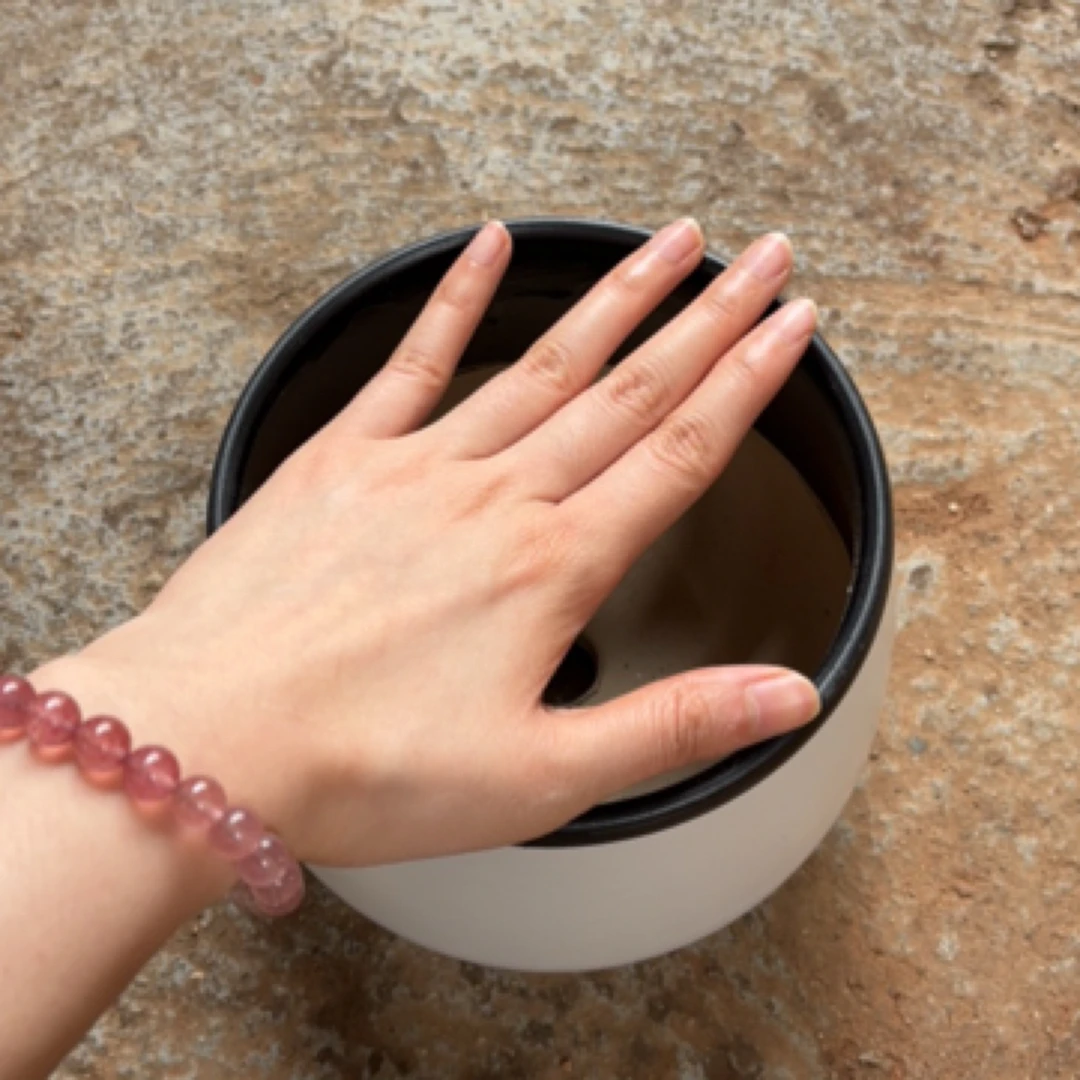 白色黑边南瓜小号盆