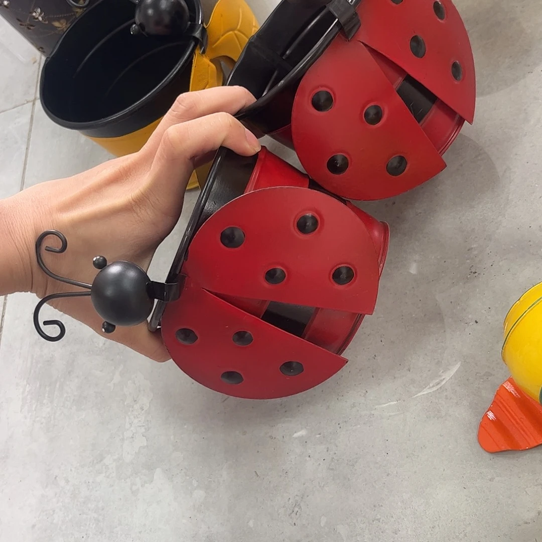 孤品哈哈哈哈给力