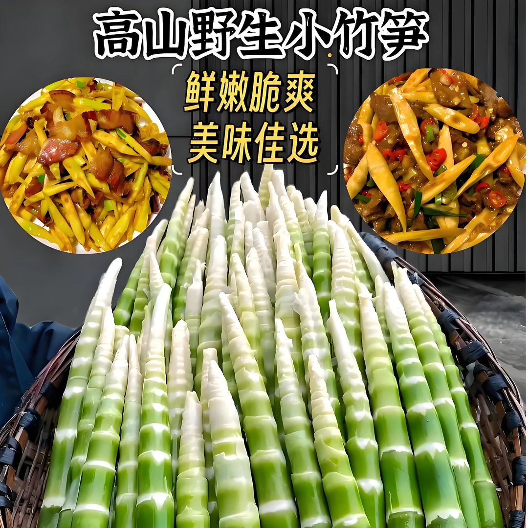 当季野生新鲜小竹笋深山优选嫩脆美味