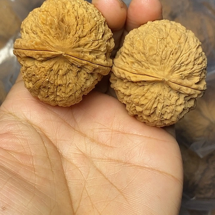 把件文玩核桃云南铁核桃10