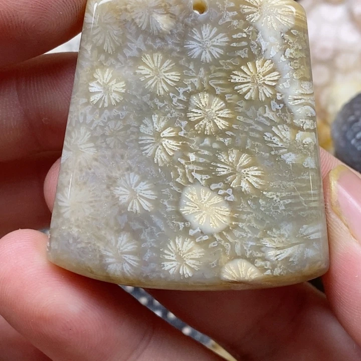 颈饰未镶嵌硅化珊瑚（珊瑚玉）