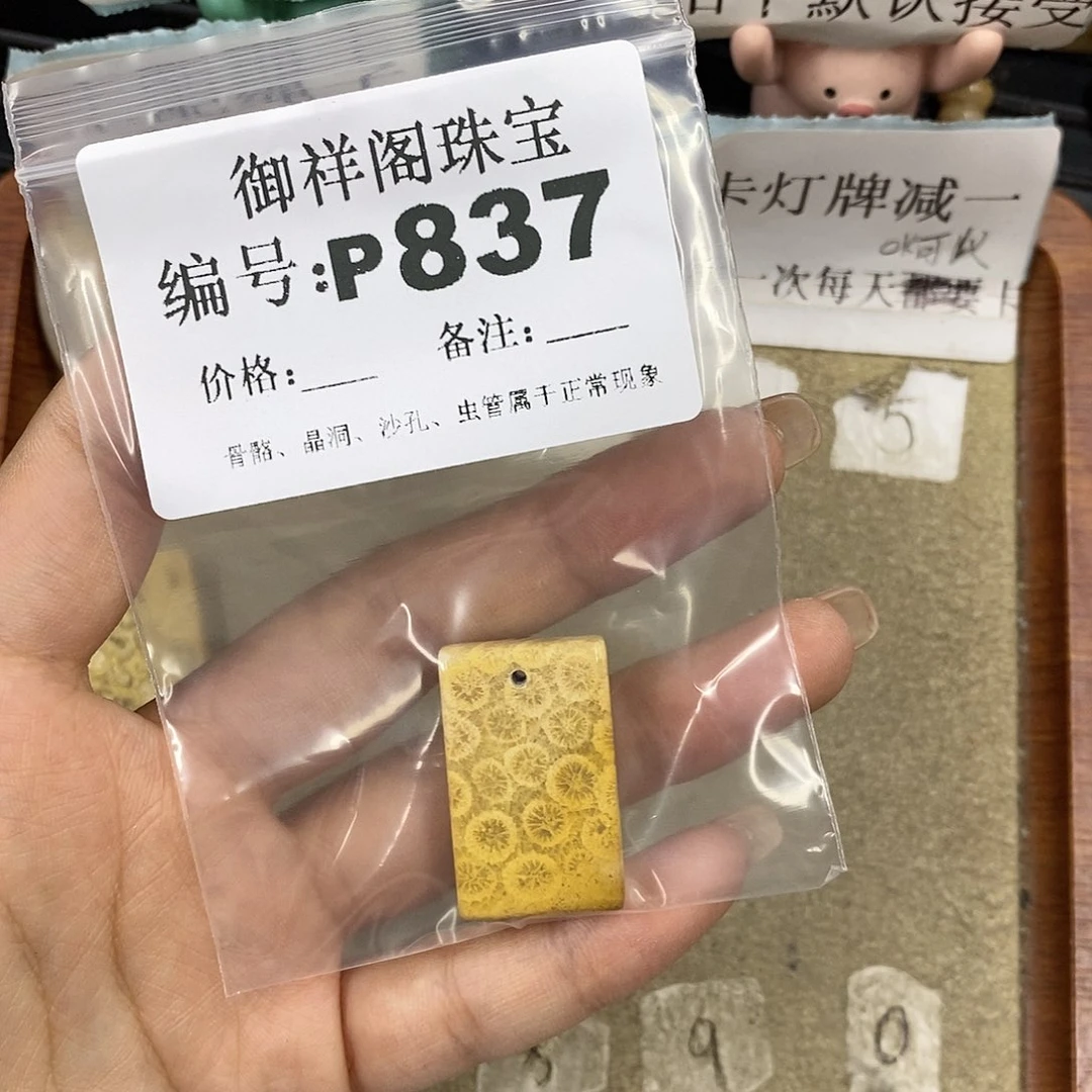 硅化珊瑚（珊瑚玉）未镶嵌颈饰呼**卫