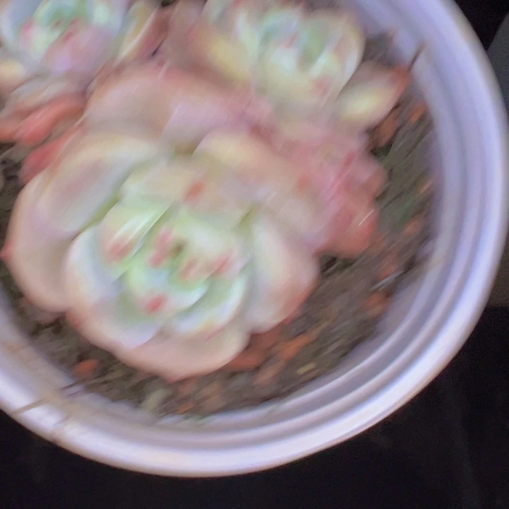 明***睡890/////////////=/=/====