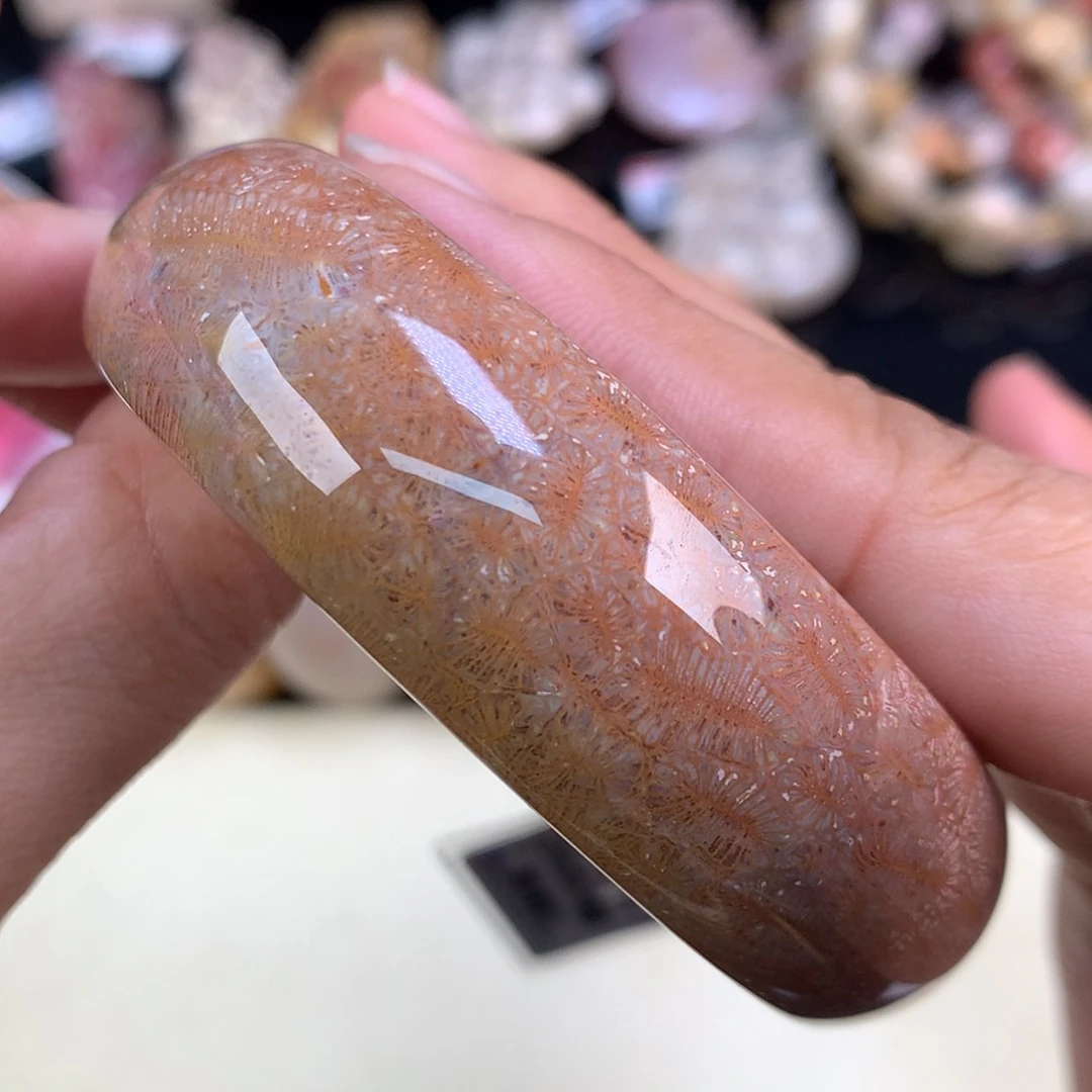 【闪购商品】颈饰未镶嵌硅化珊瑚（珊瑚玉）24号精美红虫57圈口