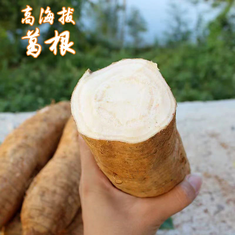 贵州农家鲜葛根高海拔山坡自种可生吃煮吃煲汤日常滋补