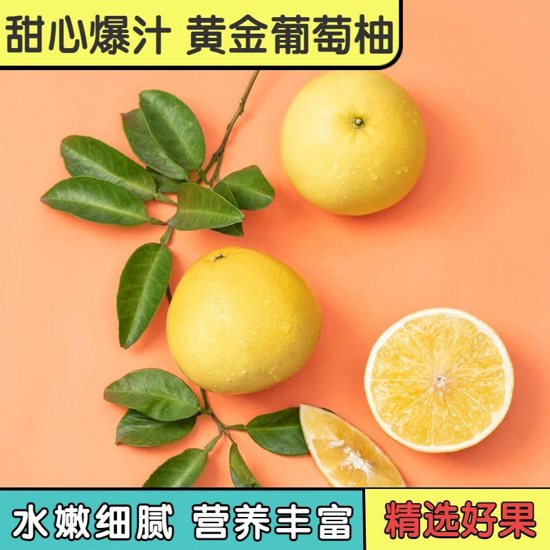 福建平和黄金葡萄柚 清甜爆汁 维C满满4.5/8.5斤