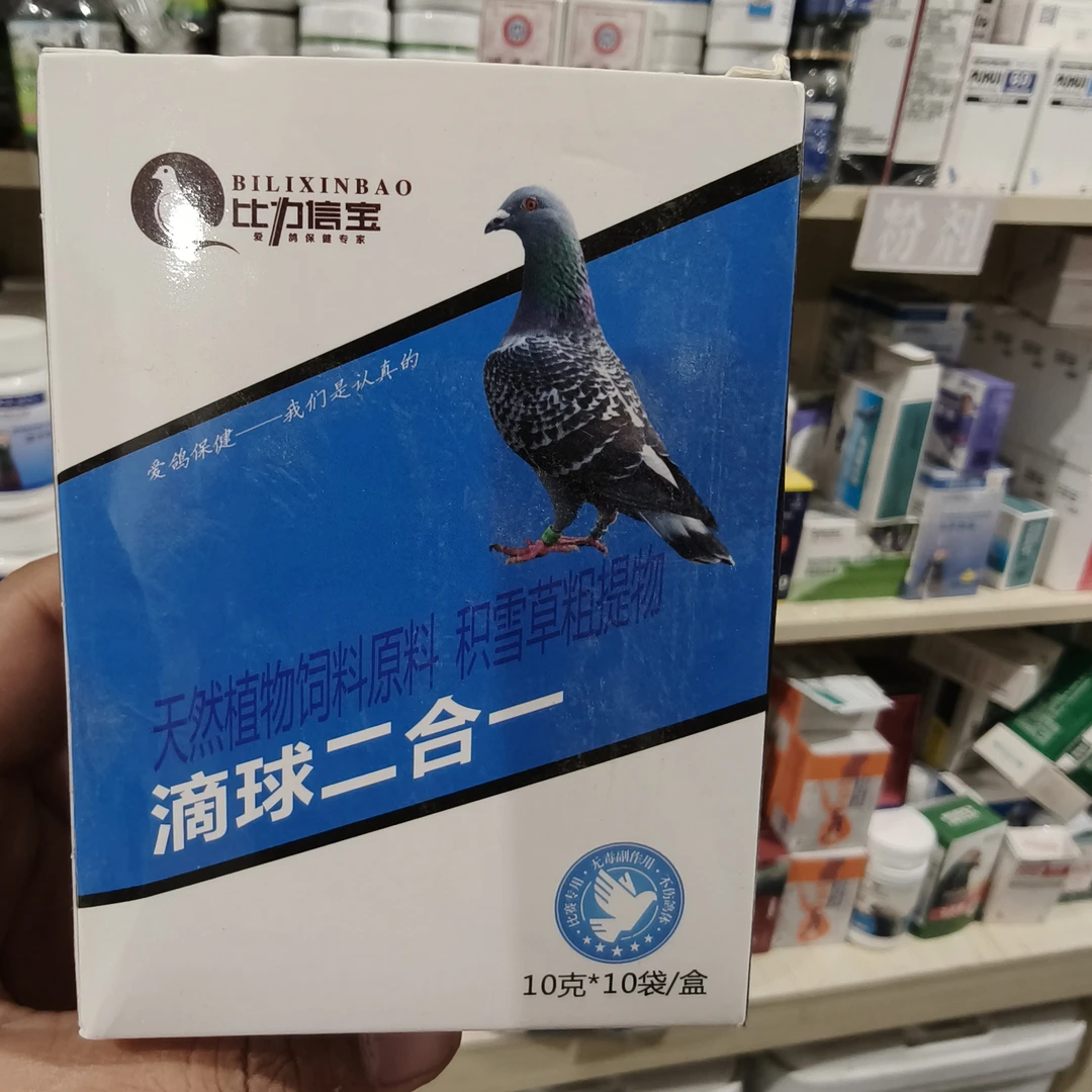 ALTunToga 鸽子 DIQIU Fen ﻣﺎﯞﺩﯨﭽﯘﯓ ﭼﯘﭼﻮﯓ ﭘﺎﺭﺍﺷﻮﻛﻰ