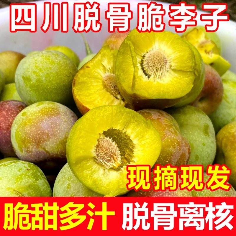 四川高山新鲜采摘应季脱骨李半边红李子脆爽多汁爽口皮薄肉厚果
