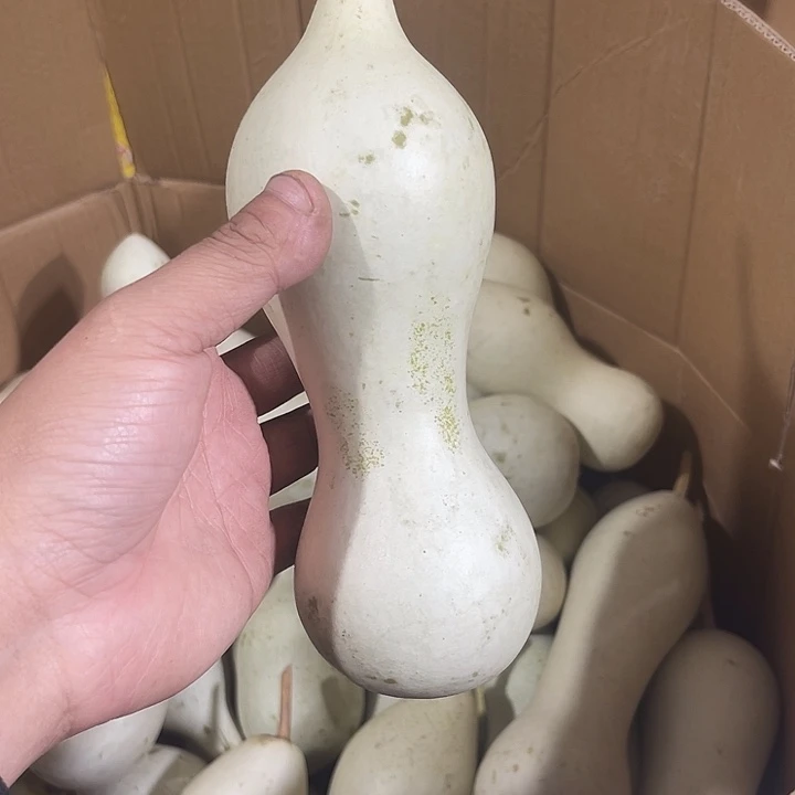 非洲紫檀（红花梨）張*