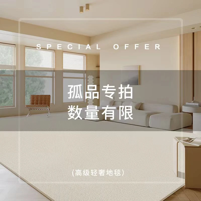 兴连心编号1-50客厅地毯轻奢高级感隔水加厚地毯客厅茶几垫床边毯